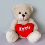 Peluche Oso Te Amo 22 cm - Imagen 2